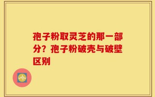 孢子粉取灵芝的那一部分？孢子粉破壳与破壁区别