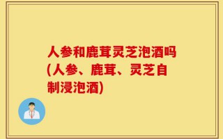 人参和鹿茸灵芝泡酒吗(人参、鹿茸、灵芝自制浸泡酒)