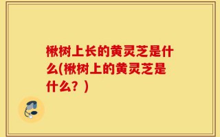 楸树上长的黄灵芝是什么(楸树上的黄灵芝是什么？)