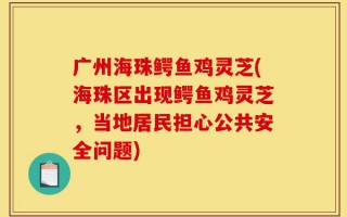 广州海珠鳄鱼鸡灵芝(海珠区出现鳄鱼鸡灵芝，当地居民担心公共安全问题)