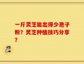 一斤灵芝能出得少孢子粉？灵芝种植技巧分享？