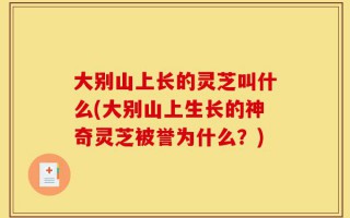 大别山上长的灵芝叫什么(大别山上生长的神奇灵芝被誉为什么？)