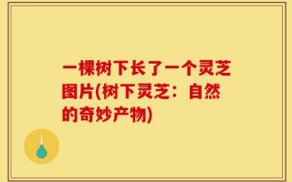 一棵树下长了一个灵芝图片(树下灵芝：自然的奇妙产物)