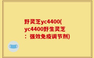 野灵芝yc4400(yc4400野生灵芝：强效免疫调节剂)