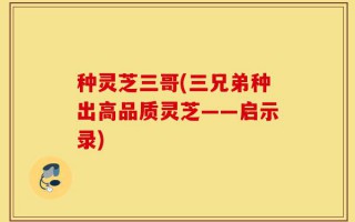 种灵芝三哥(三兄弟种出高品质灵芝——启示录)