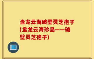 盘龙云海破壁灵芝孢子(盘龙云海珍品——破壁灵芝孢子)