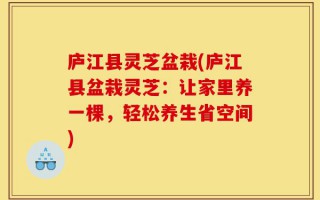 庐江县灵芝盆栽(庐江县盆栽灵芝：让家里养一棵，轻松养生省空间)