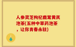 人参灵芝枸杞鹿茸黄芪泡茶(五种中草药泡茶，让你青春永驻)