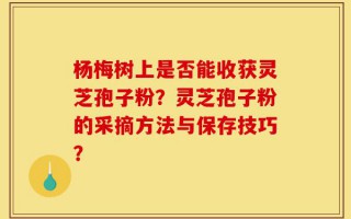 杨梅树上是否能收获灵芝孢子粉？灵芝孢子粉的采摘方法与保存技巧？