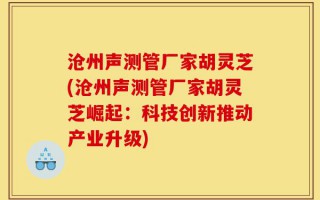 沧州声测管厂家胡灵芝(沧州声测管厂家胡灵芝崛起：科技创新推动产业升级)