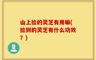 山上捡的灵芝有用嘛(捡到的灵芝有什么功效？)