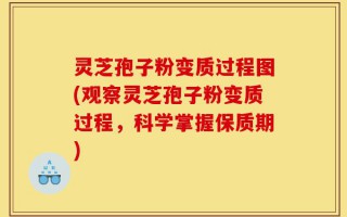 灵芝孢子粉变质过程图(观察灵芝孢子粉变质过程，科学掌握保质期)