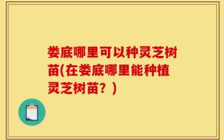 娄底哪里可以种灵芝树苗(在娄底哪里能种植灵芝树苗？)