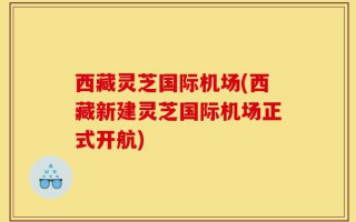 西藏灵芝国际机场(西藏新建灵芝国际机场正式开航)