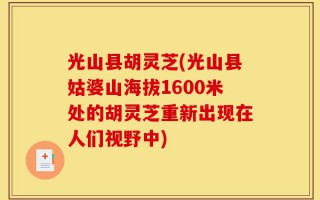 光山县胡灵芝(光山县姑婆山海拔1600米处的胡灵芝重新出现在人们视野中)