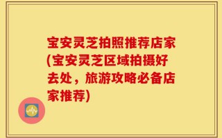 宝安灵芝拍照推荐店家(宝安灵芝区域拍摄好去处，旅游攻略必备店家推荐)