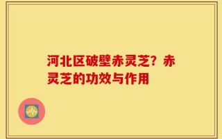 河北区破壁赤灵芝？赤灵芝的功效与作用