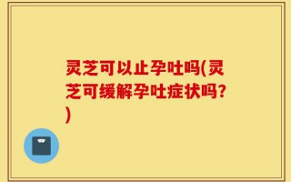 灵芝可以止孕吐吗(灵芝可缓解孕吐症状吗？)