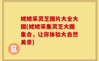 姥姥采灵芝图片大全大图(姥姥采集灵芝大图集合，让你体验大自然美景)