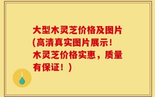 大型木灵芝价格及图片(高清真实图片展示！木灵芝价格实惠，质量有保证！)