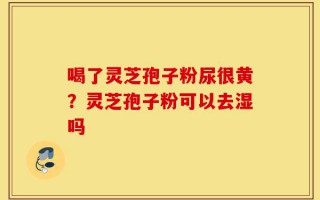 喝了灵芝孢子粉尿很黄？灵芝孢子粉可以去湿吗