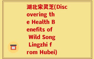 湖北宋灵芝(Discovering the Health Benefits of Wild Song Lingzhi from Hubei)