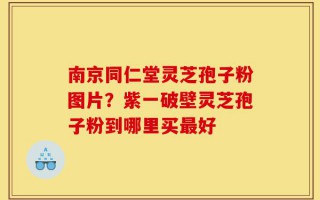 南京同仁堂灵芝孢子粉图片？紫一破壁灵芝孢子粉到哪里买最好