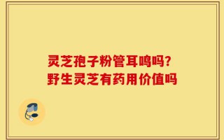 灵芝孢子粉管耳鸣吗？野生灵芝有药用价值吗