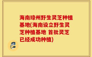 海南琼州野生灵芝种植基地(海南设立野生灵芝种植基地 首批灵芝已经成功种植)