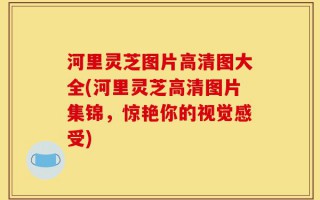 河里灵芝图片高清图大全(河里灵芝高清图片集锦，惊艳你的视觉感受)