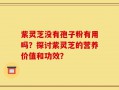 紫灵芝没有孢子粉有用吗？探讨紫灵芝的营养价值和功效？