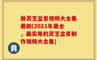 做灵芝盆景视频大全集最新(2021年最全，最实用的灵芝盆景制作视频大合集)