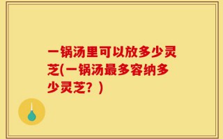 一锅汤里可以放多少灵芝(一锅汤最多容纳多少灵芝？)