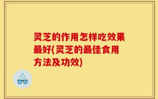 灵芝的作用怎样吃效果最好(灵芝的最佳食用方法及功效)