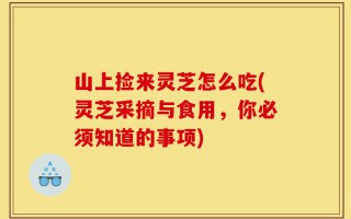 山上捡来灵芝怎么吃(灵芝采摘与食用，你必须知道的事项)