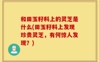 和田玉籽料上的灵芝是什么(田玉籽料上发现珍贵灵芝，有何惊人发现？)