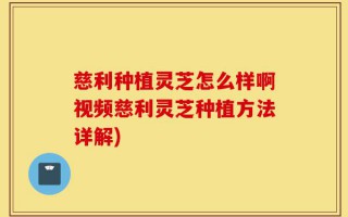 慈利种植灵芝怎么样啊视频慈利灵芝种植方法详解)