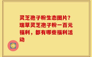 灵芝孢子粉生态图片？瑞草灵芝孢子粉一百元福利，都有哪些福利活动