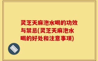 灵芝天麻泡水喝的功效与禁忌(灵芝天麻泡水喝的好处和注意事项)