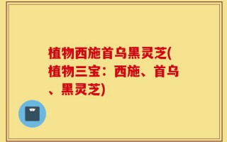 植物西施首乌黑灵芝(植物三宝：西施、首乌、黑灵芝)