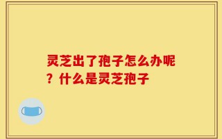 灵芝出了孢子怎么办呢？什么是灵芝孢子