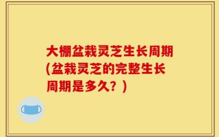 大棚盆栽灵芝生长周期(盆栽灵芝的完整生长周期是多久？)