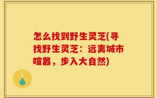 怎么找到野生灵芝(寻找野生灵芝：远离城市喧嚣，步入大自然)