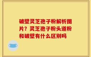 破壁灵芝孢子粉解析图片？灵芝孢子粉头道粉和破壁有什么区别吗