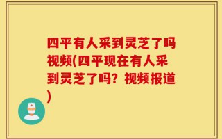 四平有人采到灵芝了吗视频(四平现在有人采到灵芝了吗？视频报道)