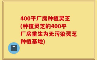 400平厂房种植灵芝(种植灵芝的400平厂房重生为无污染灵芝种植基地)