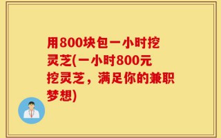 用800块包一小时挖灵芝(一小时800元挖灵芝，满足你的兼职梦想)