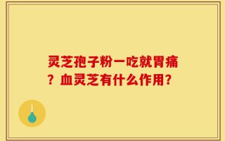 灵芝孢子粉一吃就胃痛？血灵芝有什么作用？