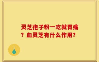 灵芝孢子粉一吃就胃痛？血灵芝有什么作用？