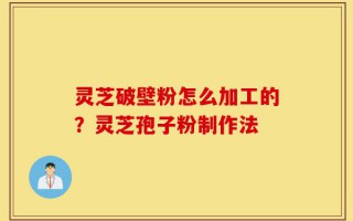 灵芝破壁粉怎么加工的？灵芝孢子粉制作法